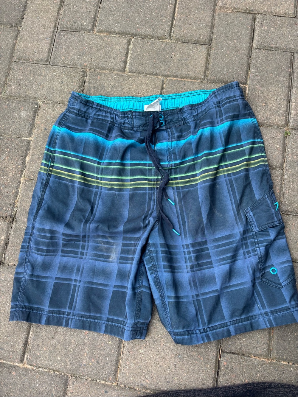 Speedo Blue Striped Board Shorts with Teal & Lime Accents